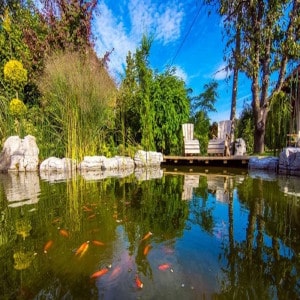 Bassin de baignade naturelle avec membrane étanche Renolit Alkorplan Natural Pool