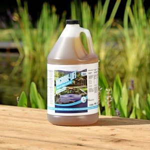 Bidon de 4 L de Microbe-Lift Natural Algae Control pour piscine naturelle