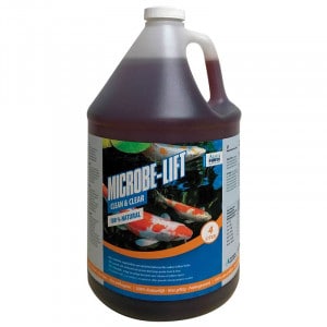 Traitement biologique pour piscine naturelle Microbe-Lift Clean & Clear bidon de 4 litres