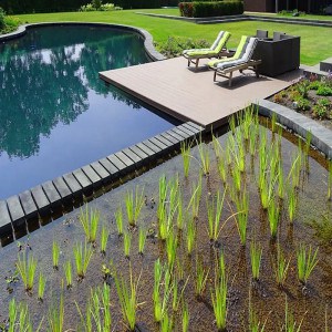 Piscine naturelle avec groupe de filtration Eau Claire