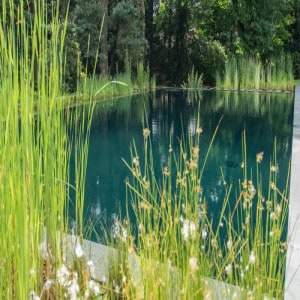 Étang de baignade avec groupe de filtration Eau Claire