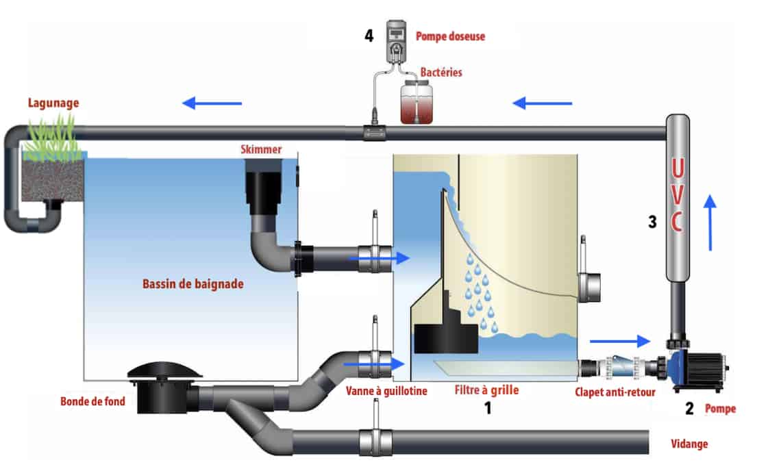 Schéma groupe de filtration Eau Claire pour piscine naturelle