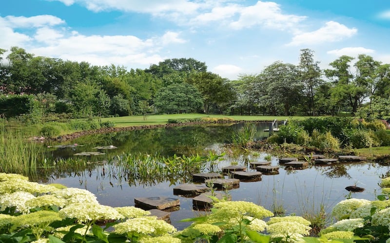 Piscine naturelle équipée d'un groupe de filtration Eau Claire