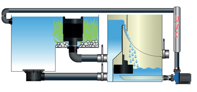 Installation skimmer flottant Aquaforte pour piscine naturelle
