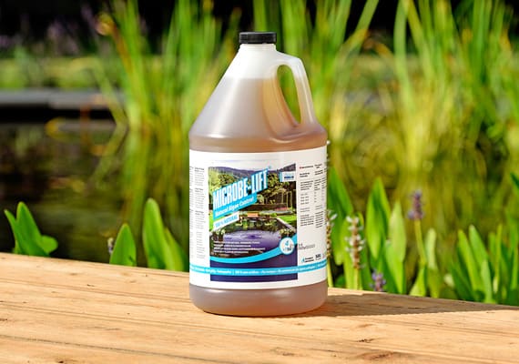 Traitement biologique Microbe-Lift Natural Algae Conctrol pour piscine naturelle