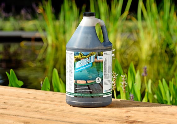 Traitement biologique Microbe-Lift Sludge Reducerpour piscine naturelle