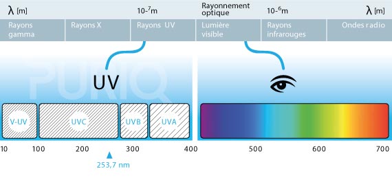 Type de rayon UV pour traitement piscine PURIQ