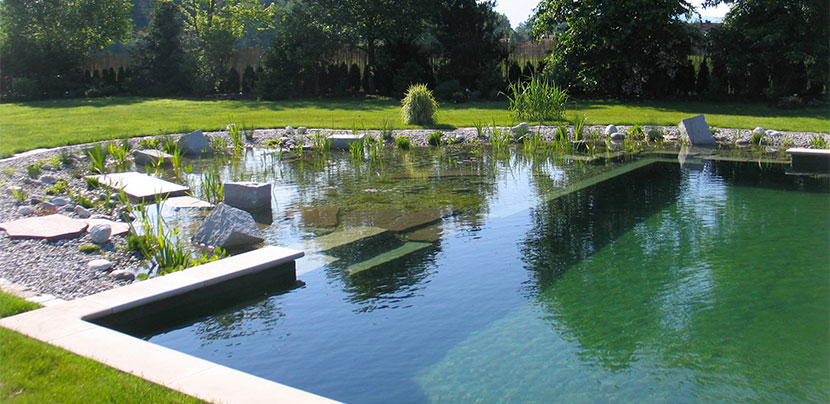 Rendre sa piscine “green”
